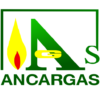 Ancargas Favicon on white 1 100x100 1