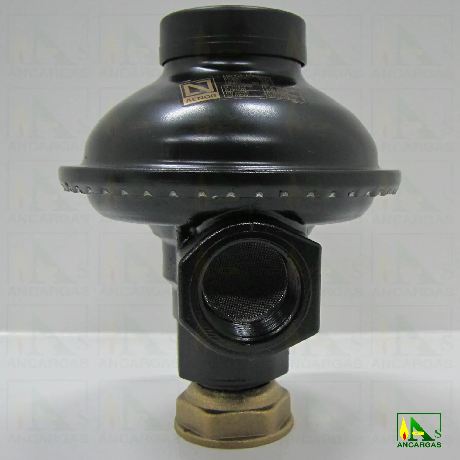 Regulador abonado para GN – Imagen Web de Ancargas ©